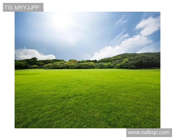 足球袜的传奇旅程从草地到心灵的温暖与梦想的追逐