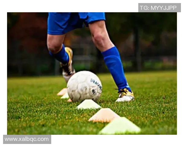 雨燕足球直邀您共赏精彩赛事体验激情与荣耀的完美结合